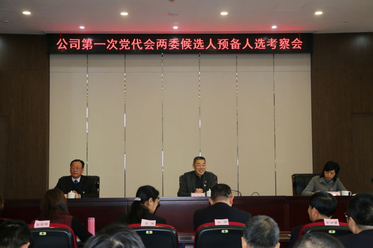 公司召开第一次党代会两委候选人预备人选考察会